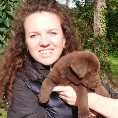 Wohlfühlen / Parkplatz / Bis 4 Personen / Küche *